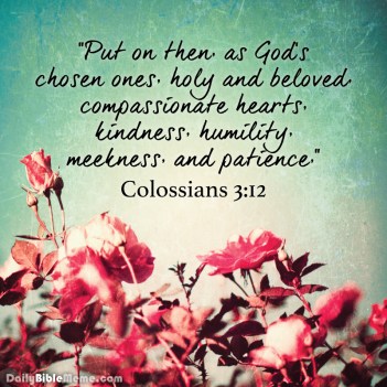 colossians3.12 floral image