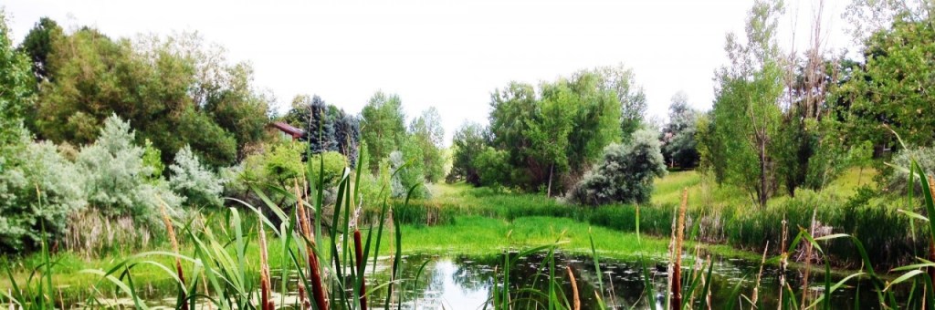 Overcoming Fear through God’s&nbsp;Word.